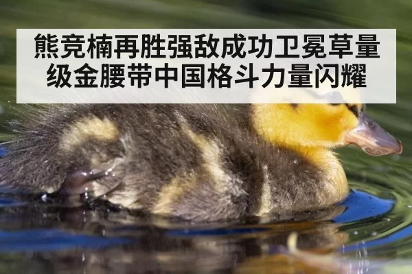 熊竞楠再胜强敌成功卫冕草量级金腰带中国格斗力量闪耀